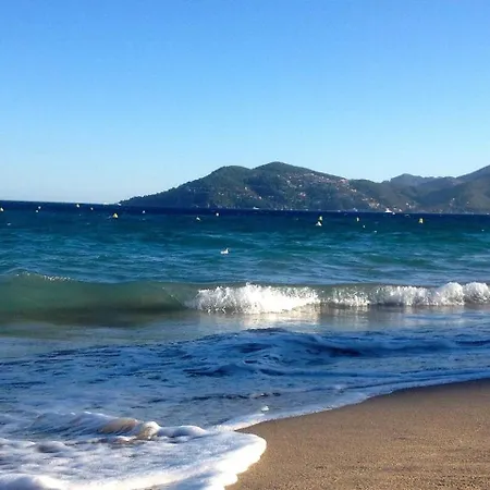 Croisette Appartamento Cannes